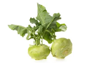 Kohlrabi